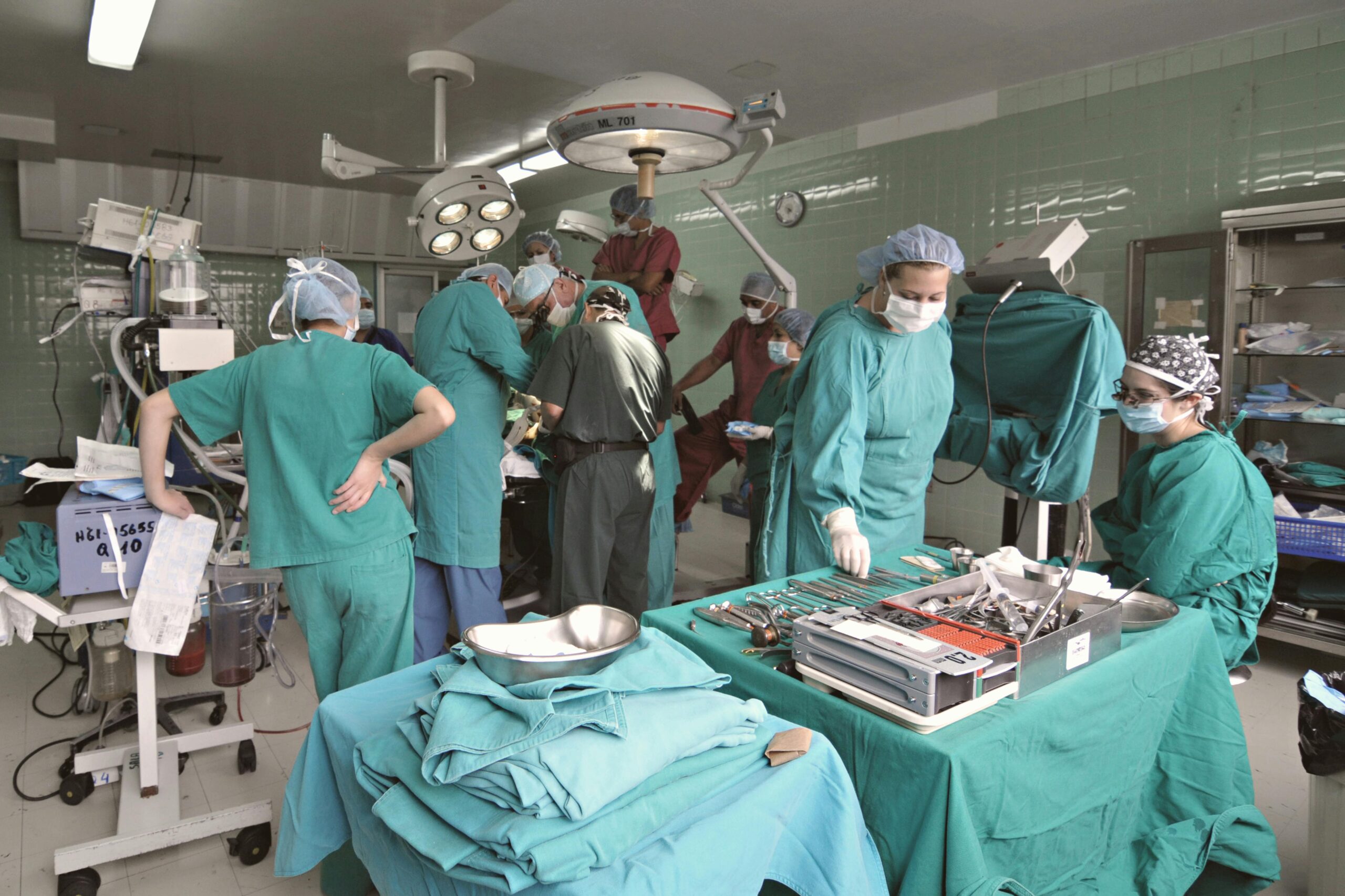 pexels davegarcia 33916269